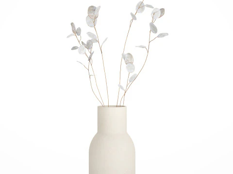 Dried Flowers From Branches Lunnik Lunaria in a vase 529 3D Model