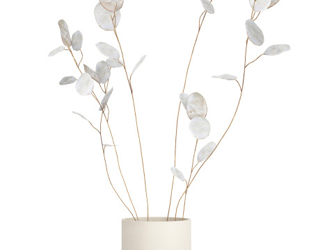 Dried Flowers From Branches Lunnik Lunaria in a vase 529 3D Модель