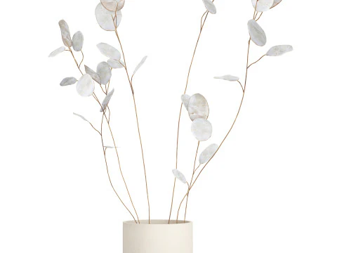 Dried Flowers From Branches Lunnik Lunaria in a vase 529 3D Model