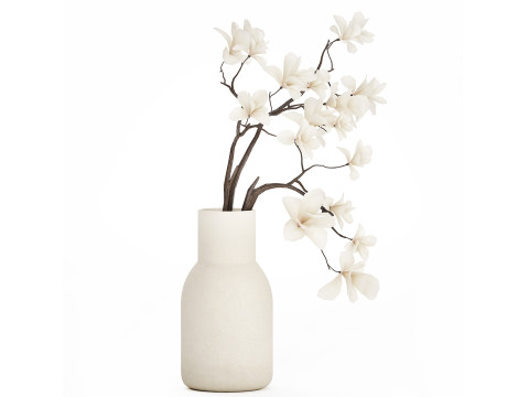 Bouquet Flowers Branches Of Blooming Magnolia 530 3D Model