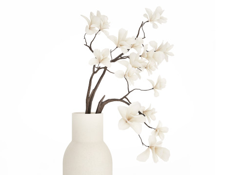 Bouquet Flowers Branches Of Blooming Magnolia 530 Modèle 3D