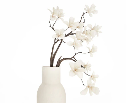 Bouquet Flowers Branches Of Blooming Magnolia 530 3D Model