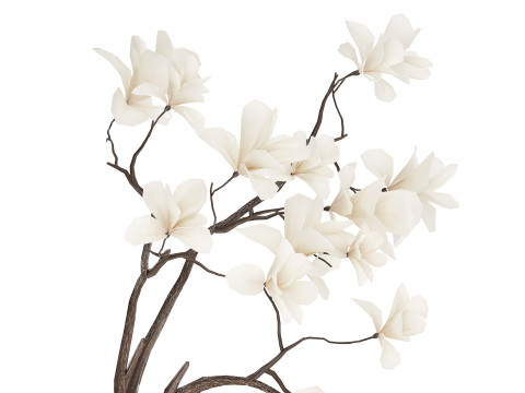 Bouquet Flowers Branches Of Blooming Magnolia 530 Modèle 3D