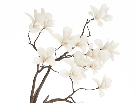 Bouquet Flowers Branches Of Blooming Magnolia 530 3D Model