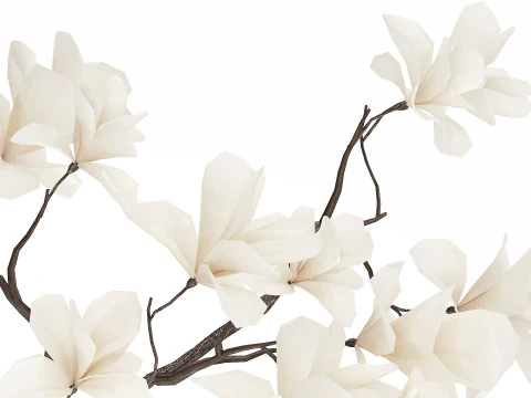 Bouquet Flowers Branches Of Blooming Magnolia 530 3D Model