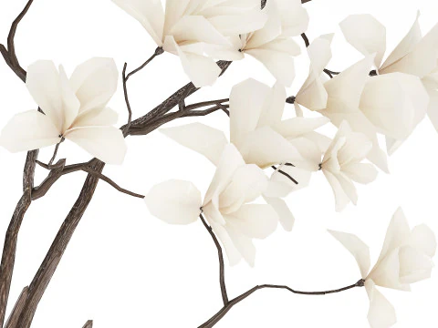 Bouquet Flowers Branches Of Blooming Magnolia 530 3D Model