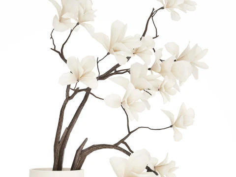 Bouquet Flowers Branches Of Blooming Magnolia 530 3D Model