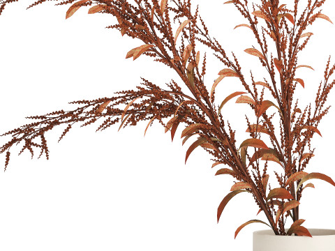 Bouquet Of Dried Flowers Red Branches Of Solidago 531 3D 모델