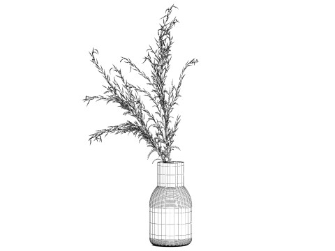 Bouquet Of Dried Flowers Red Branches Of Solidago 531 3D 모델