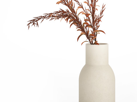 Bouquet Of Dried Flowers Red Branches Of Solidago 531 3D 모델