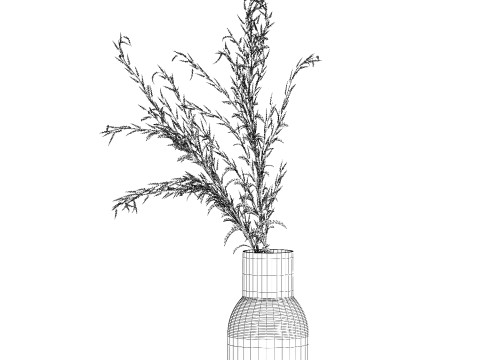 Bouquet Of Dried Flowers Red Branches Of Solidago 531 3D 모델