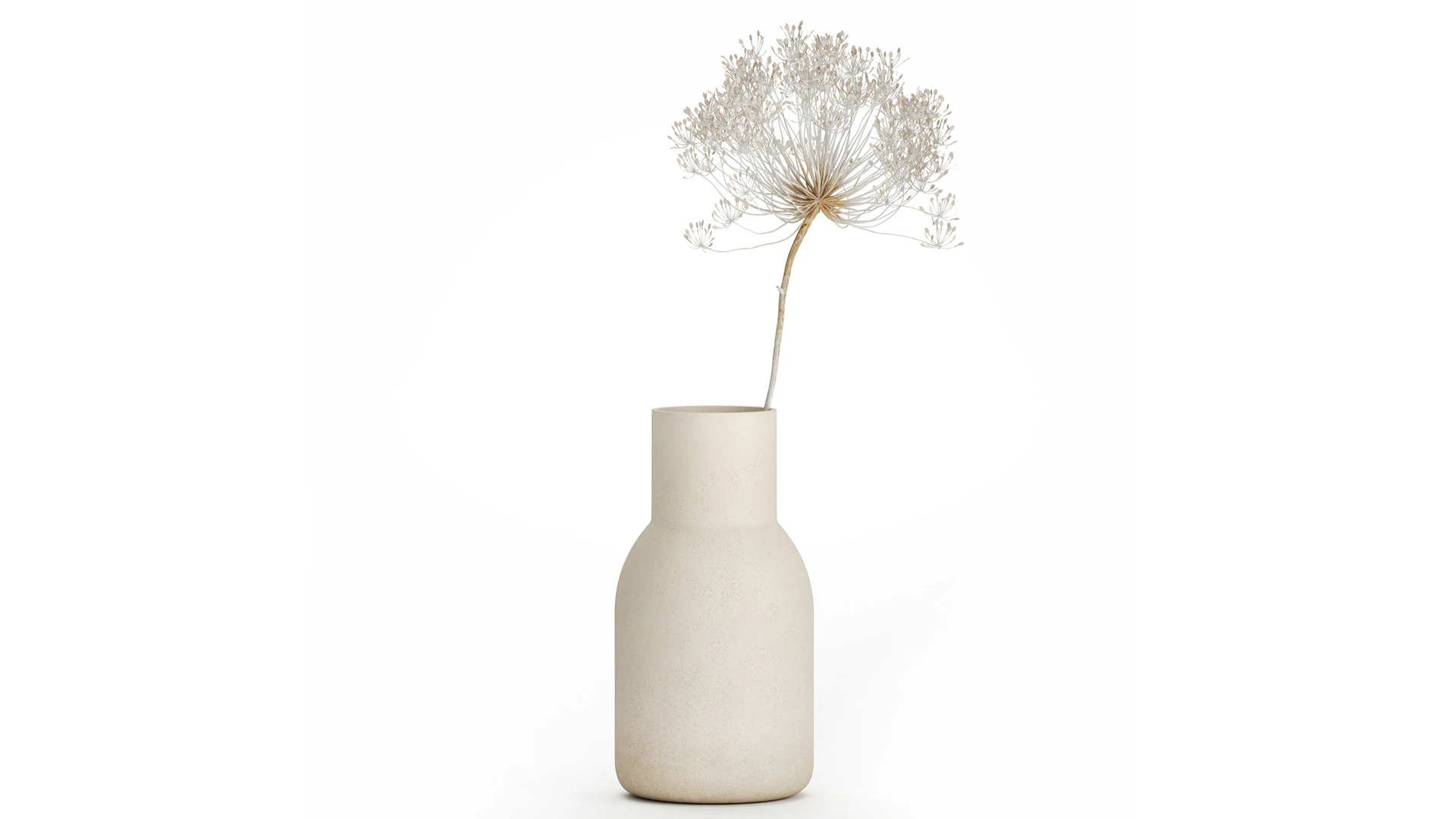 Bouquet Dried White Branches Heracleum Hogweed 532 3D Model .c4d .max .obj .3ds .fbx .stl .blend 