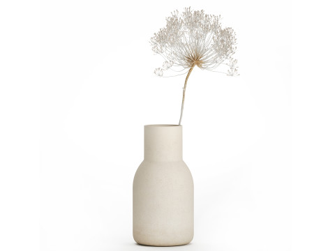 Bouquet Dried White Branches Heracleum Hogweed 532 3D Model