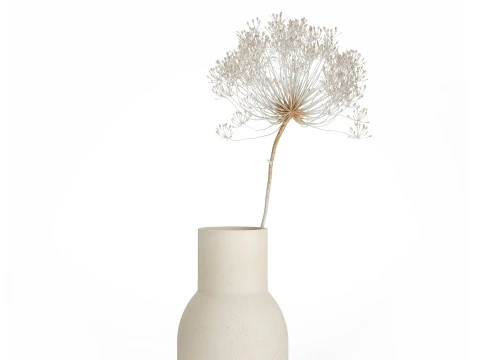Bouquet Dried White Branches Heracleum Hogweed 532 3D Model