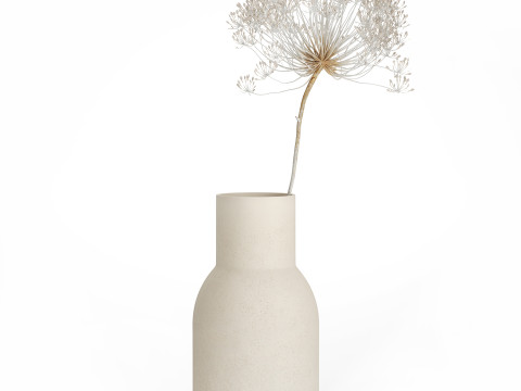 Bouquet Dried White Branches Heracleum Hogweed 532 3D 모델