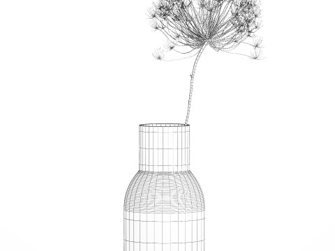Bouquet Dried White Branches Heracleum Hogweed 532 3D 모델