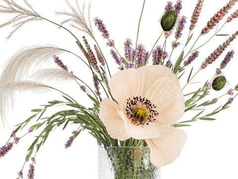 Bouquet Di Fiori Selvatici Di Lavanda Papavero Pampa 534 Modello 3D