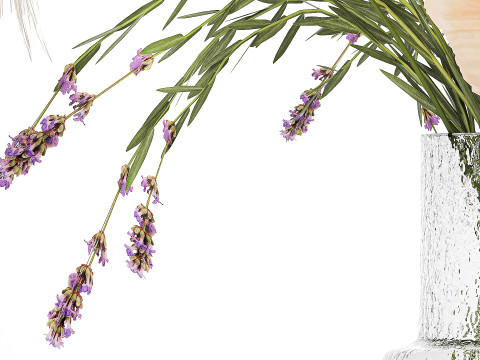 Bouquet Of Wild Flowers Of Lavender Poppy Pampas 534 3D Модель