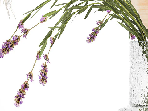 Bouquet Di Fiori Selvatici Di Lavanda Papavero Pampa 534 Modello 3D