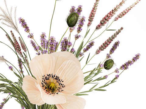 Bouquet Of Wild Flowers Of Lavender Poppy Pampas 534 3D Модель