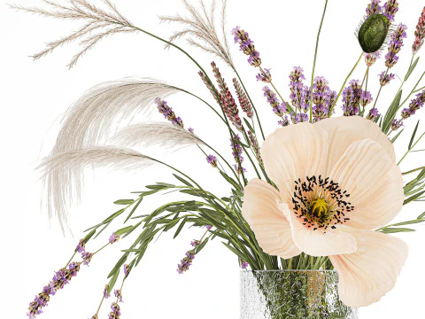 Bouquet Di Fiori Selvatici Di Lavanda Papavero Pampa 534 Modello 3D