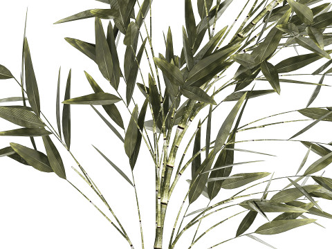 Green Floral Bouquet Of Bamboo Bush Branches 535 3D Модель