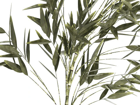 Green Floral Bouquet Of Bamboo Bush Branches 535 3D Model