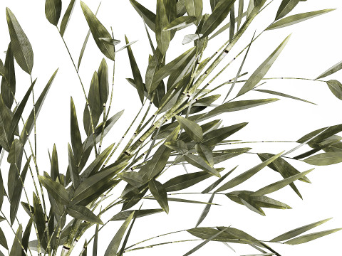 Green Floral Bouquet Of Bamboo Bush Branches 535 3D Модель