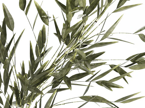 Green Floral Bouquet Of Bamboo Bush Branches 535 3D Model