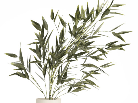 Green Floral Bouquet Of Bamboo Bush Branches 535 3D Модель