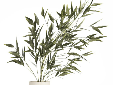 Green Floral Bouquet Of Bamboo Bush Branches 535 3D Model