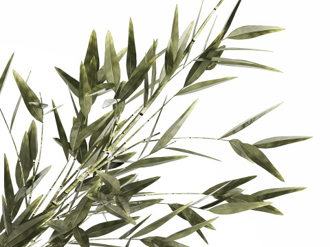 Green Floral Bouquet Of Bamboo Bush Branches 535 3D Модель