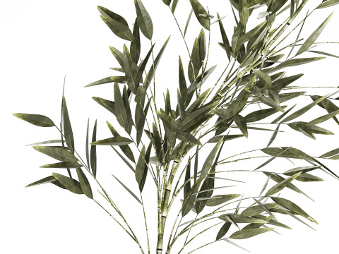 Green Floral Bouquet Of Bamboo Bush Branches 535 3D Модель