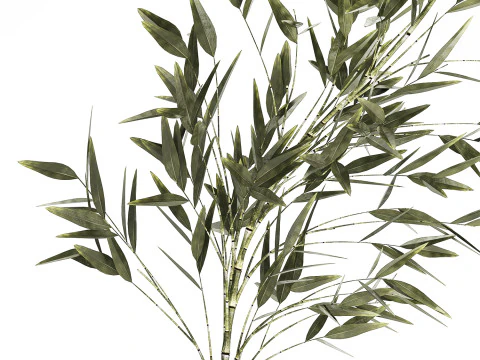 Green Floral Bouquet Of Bamboo Bush Branches 535 3D Model