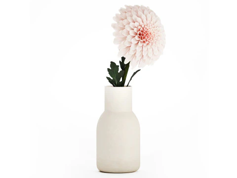 White Flower Bouquet Of Chrysanthemum In A Vase 536 3D Model