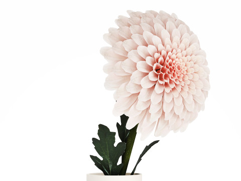 White Flower Bouquet Of Chrysanthemum In A Vase 536 Model 3D