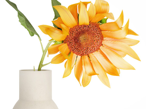Yellow Flower Bouquet Of Sunflower In Ceramic Vase 537 3D Model