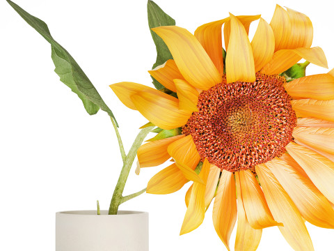 Yellow Flower Bouquet Of Sunflower In Ceramic Vase 537 3D Model