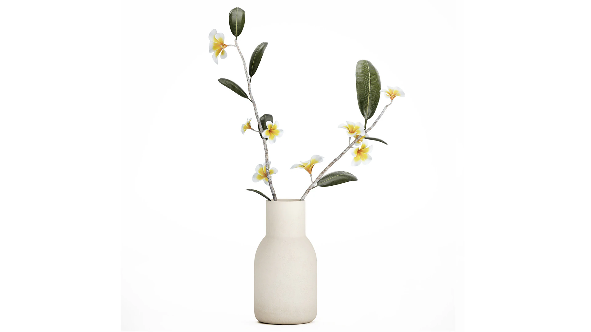Exotic bouquet of branches Plumeria frangipani in a vase 538 3D Model .c4d .max .obj .3ds .fbx .stl .blend 