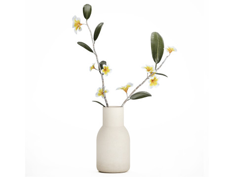 Exotic bouquet of branches Plumeria frangipani in a vase 538 3D Model