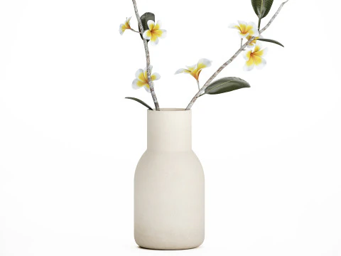 Exotic bouquet of branches Plumeria frangipani in a vase 538 3D Model