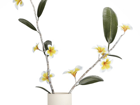 Exotic bouquet of branches Plumeria frangipani in a vase 538 3D Модель