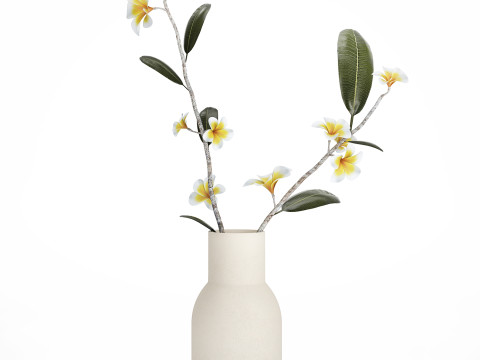 Exotic bouquet of branches Plumeria frangipani in a vase 538 3D Модель