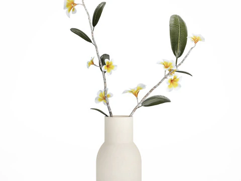 Exotic bouquet of branches Plumeria frangipani in a vase 538 3D Model