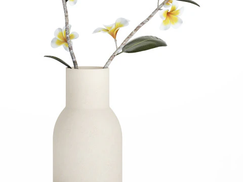 Exotic bouquet of branches Plumeria frangipani in a vase 538 3D Model