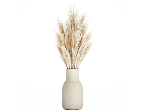 Bouquet Dried Flowers Branches Cortaderia Pampas 539 3D Model