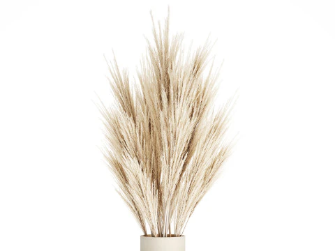 Bouquet Dried Flowers Branches Cortaderia Pampas 539 3D Model