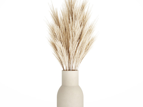 Bouquet Dried Flowers Branches Cortaderia Pampas 539 Modèle 3D