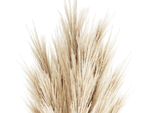 Bouquet Dried Flowers Branches Cortaderia Pampas 539 3D Model