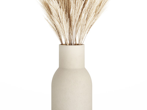 Bouquet Dried Flowers Branches Cortaderia Pampas 539 Modèle 3D